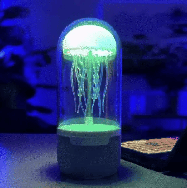 Denizanası Lambası