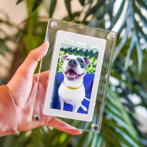 Dijital Video Çerçeve